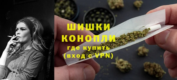крисы Кулебаки
