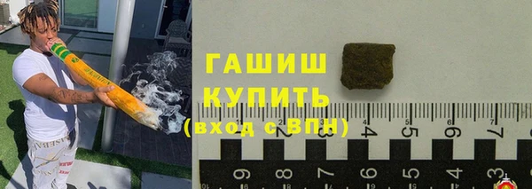 крисы Кулебаки