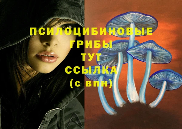 мдпв Куйбышев