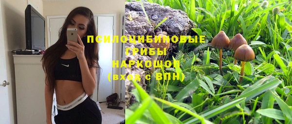 мдпв Куйбышев
