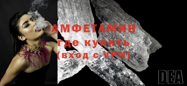 крисы Кулебаки