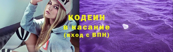 крисы Кулебаки