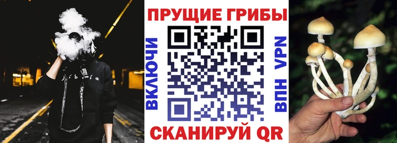Галлюциногенные грибы мухоморы  Черняховск 