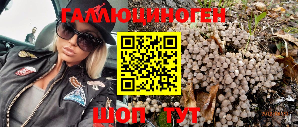 Псилоцибиновые грибы прущие грибы Черняховск