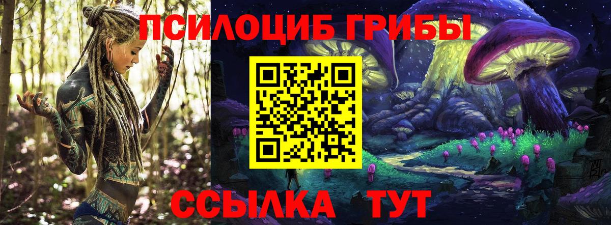 Галлюциногенные грибы мухоморы  Вход с VPN  даркнет сайт  Галлюциногенные грибы ЛСД  Черняховск 
