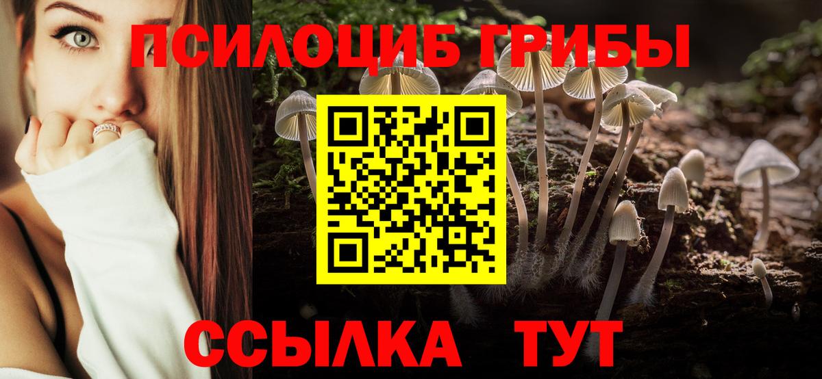 Галлюциногенные грибы ЛСД Черняховск